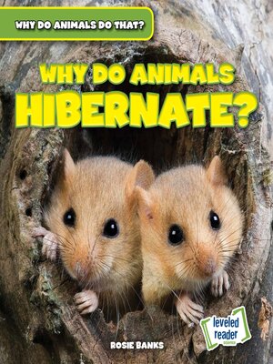 cover image of Why Do Animals Hibernate?